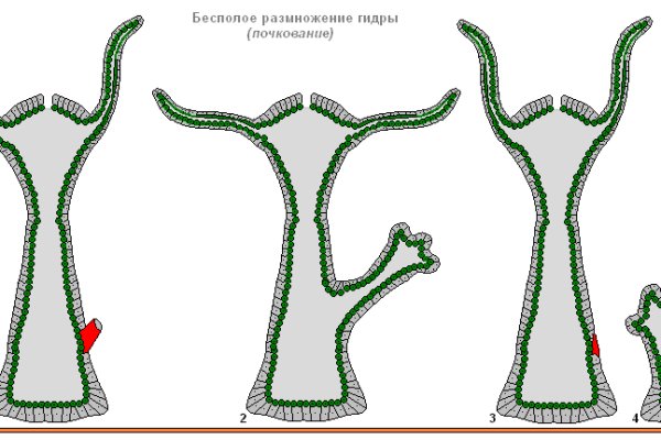 Вход на кракен зеркало