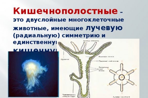2krn cc официальный