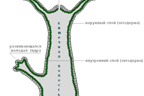 Кракен ссылка market pw